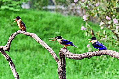 《龙霸三合会：疯狂版》主机版推迟 PC版7＆31推出