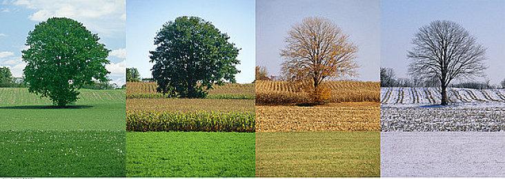 Bungie新作官方中文定名《惑星行者》 商店页面上线