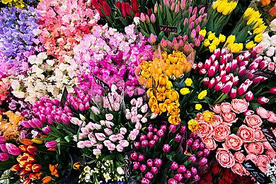 《怪物猎人：荒野》没有贴皮武器 每把武器都是独模